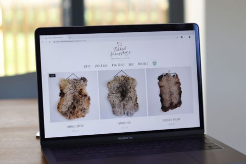 Felted-Desktop-1024x682
