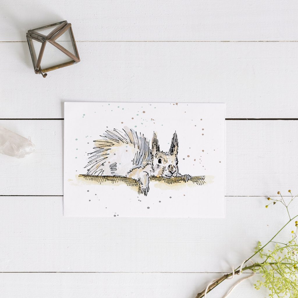 20 squirrel 1024×1024