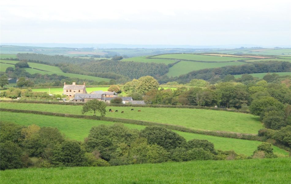 Birchill Farm and Cottages