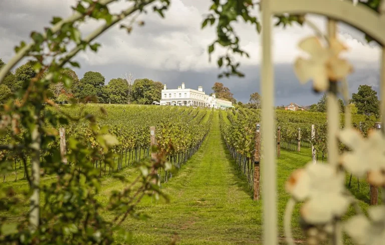 East Devon Excellence project image